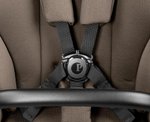 Коляска Peg Perego Veloce TC New Belvedere SLK 3 в 1 Pine Bark