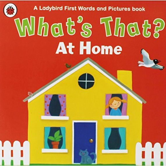 What&#39;s That? At Home A Ladybird First Words and Pictures Book