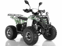 Квадроцикл WELS Thunder 125 Lux
