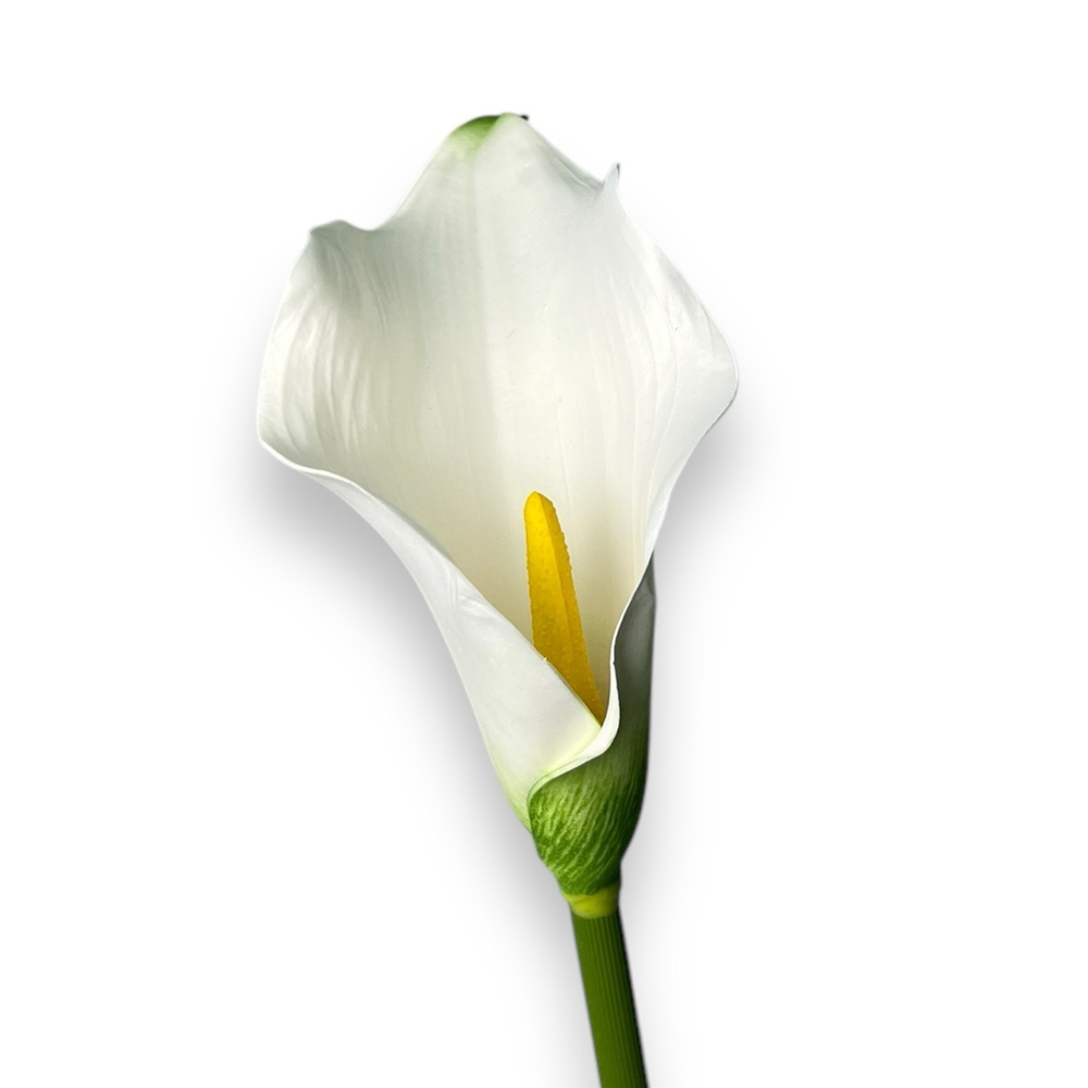 Гортензия премиум ярко-розовая