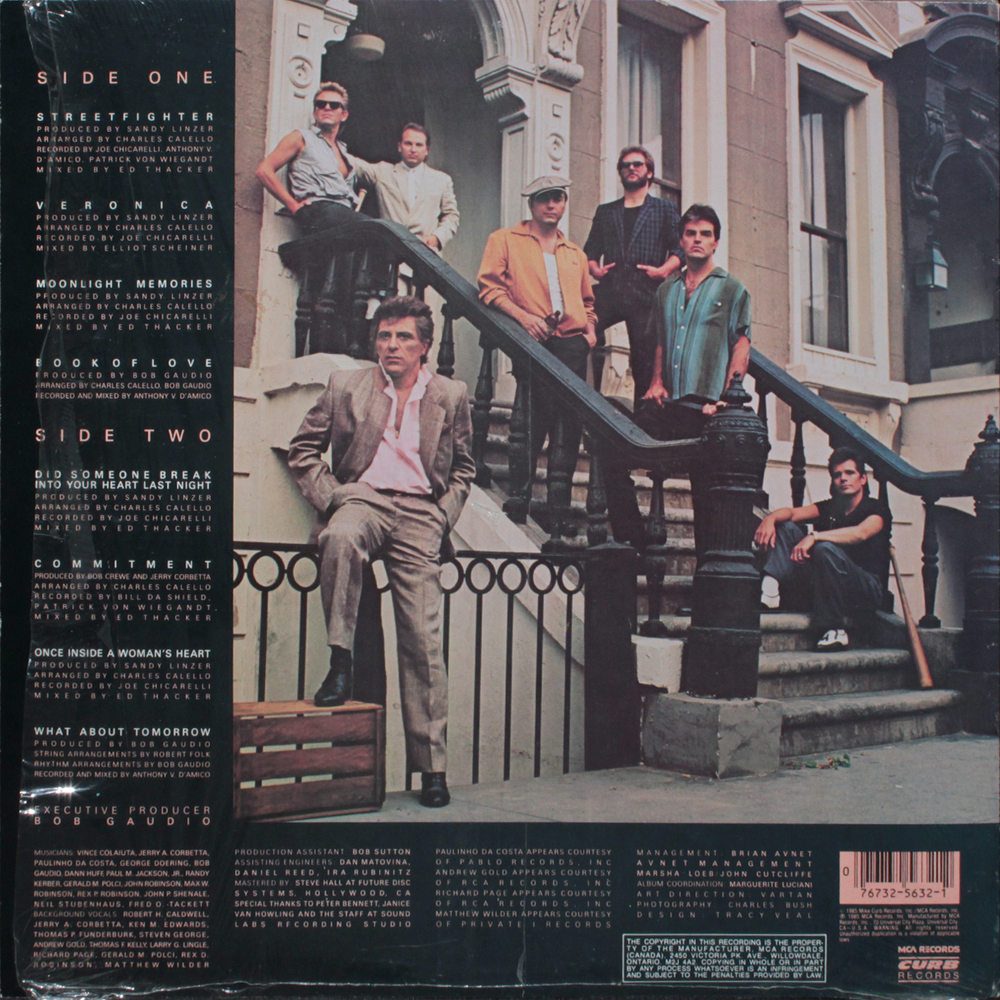 Frankie Valli And The Four Seasons / Streetfighter (LP)