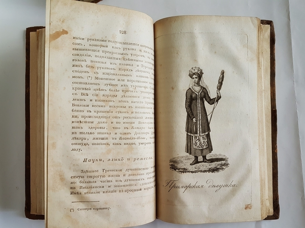 Записки морского офицера, в продолжении компании на Средниземном море под начальством Вице-Адмирала Дмитрия Николаевича Сенявина от 1805 по 1810 год