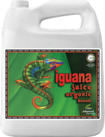 AN Iguana Juice Organic Bloom