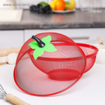 Сито с крышкой для хранения продуктов Доляна «Вкус», d=25 см, цвет МИКС