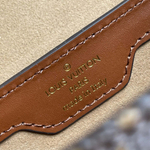 Louis Vuitton Papillon Trunk