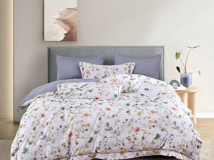 Постельное белье 2 спальное евро Asabella 2147-6