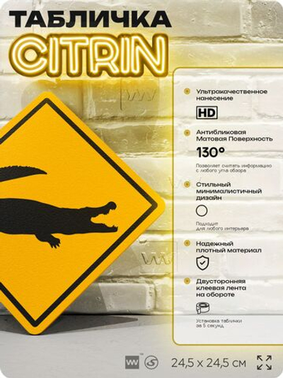 Табличка прикольная "Осторожно, крокодил" на дверь и стену, информационная и предупреждающая, декоративный знак, 24,5х24,5 см, пластиковая, Айдентика Технолоджи