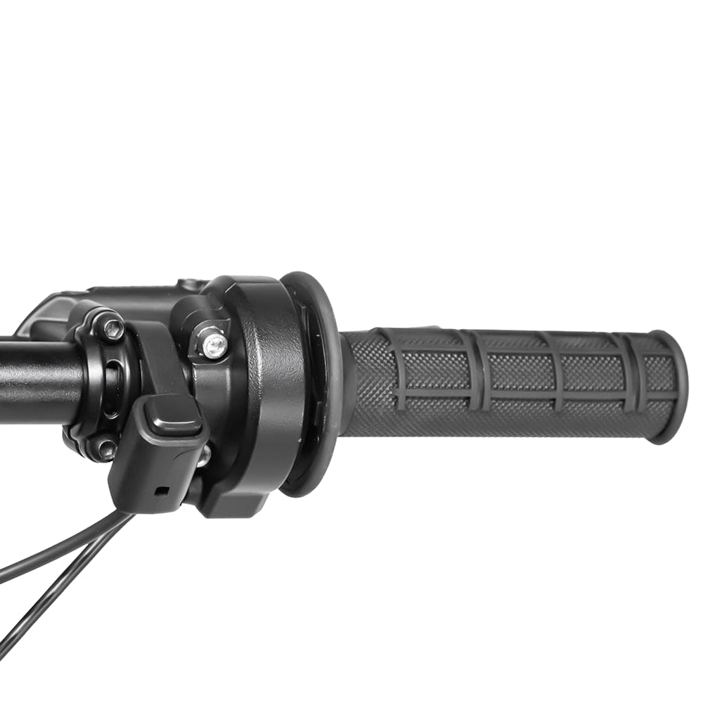 Электромотоцикл E RIDE Pro-SS 19