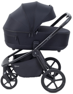 Детская коляска Rant Flex Therm Soft 3 в 1 с автокреслом Evomax Grey Midnight Black