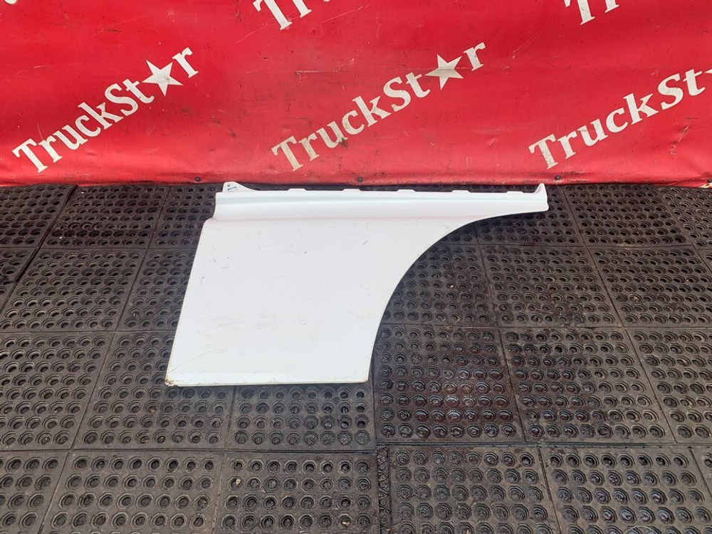 Продолжение (дефект) двери левой 2023г.