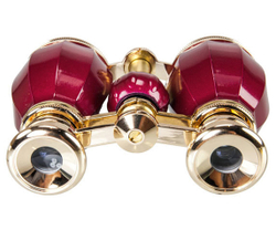 Окуляры Veber БГЦ 4x30 с золотым напылением