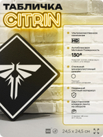 Табличка декоративная "The Last of Us, Цикады" на дверь и стену, прикольная штука в подарок геймеру, декоративный знак, 24,5х24,5 см, Айдентика Технолоджи