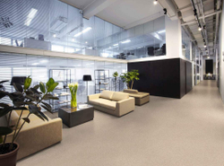 Линолеум полукоммерческий Profi Strong Plus Granite 5, 3х30м (рулон)