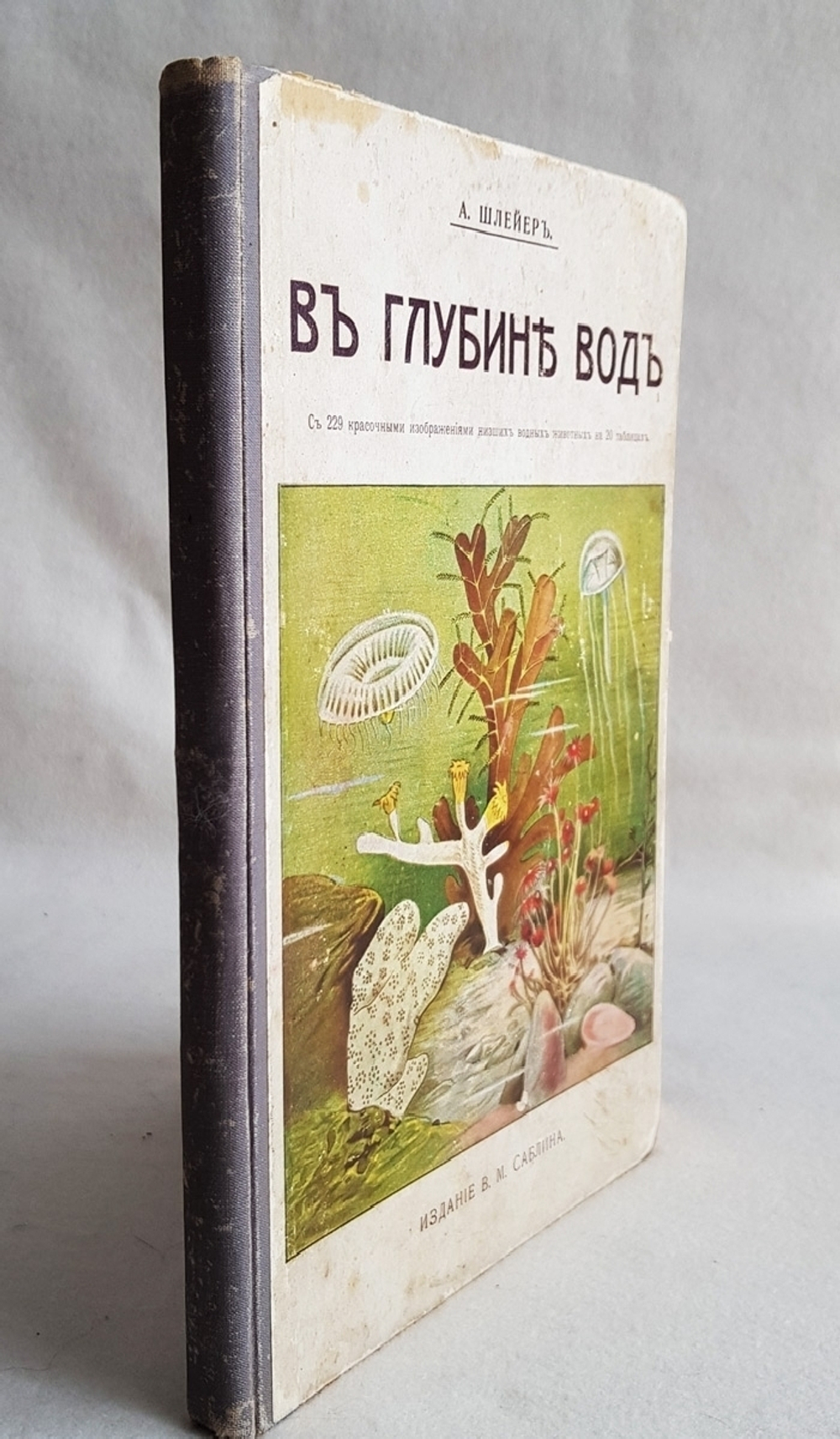 "В глубине вод". А.Шлейер. 1912г. - антикварное издание