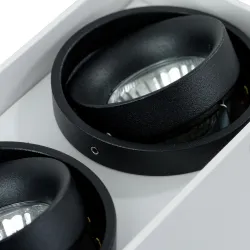 Точечный накладной светильник Arte Lamp PICTOR