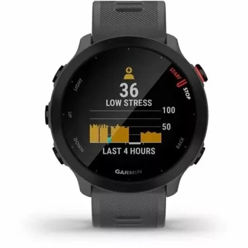 Смарт-часы Garmin Forerunner 55 42мм 1.04" LCD корп.серый рем.серый разм.брасл.:127-220мм (010-02562-13)