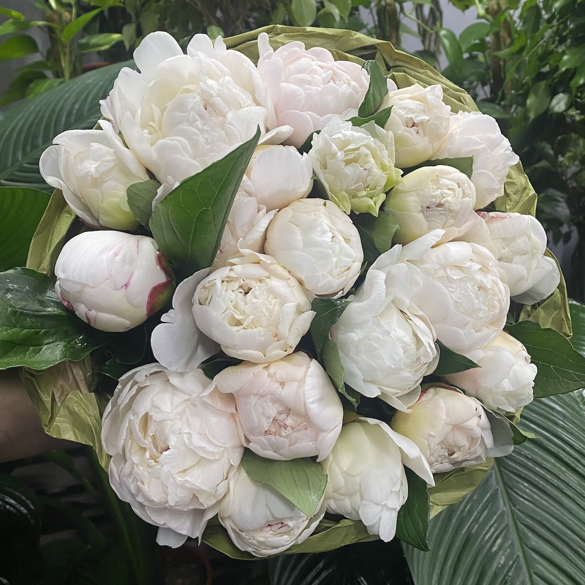 🌸♛ Фестива Максима (Festiva Maxima) — букет ароматных пионов — 8 марта у Феи