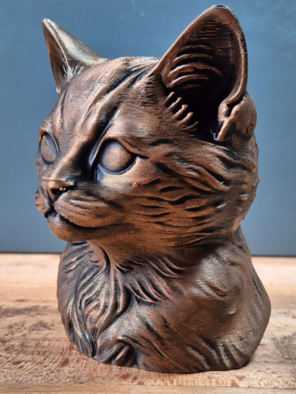 Котенок