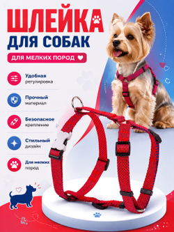 Шлейка NEO 1.5 см красный
