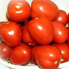 Романа F1 семена томата индетерминантного (De Ruiter Seeds / Де Ройтер Сидс)