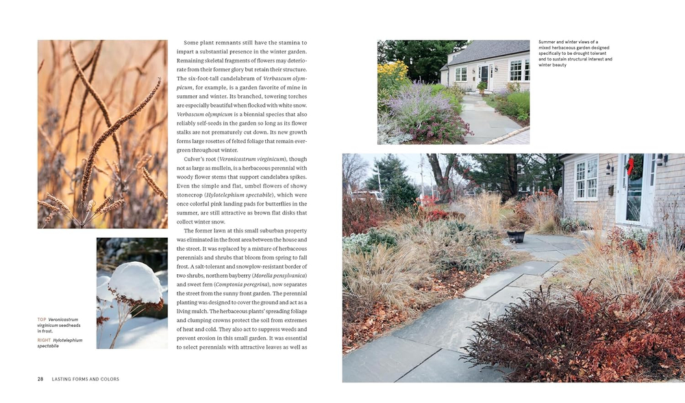 Plants for the Winter Garden