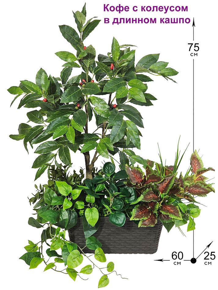 Искусственное растение Кофе с колеусом 75см в длинном кашпо