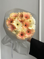 Букет из гербер в кремовом оттенке 15 шт