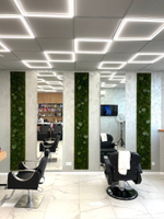 Панно из микса стабилизированного мха, искусственного мха и растений.