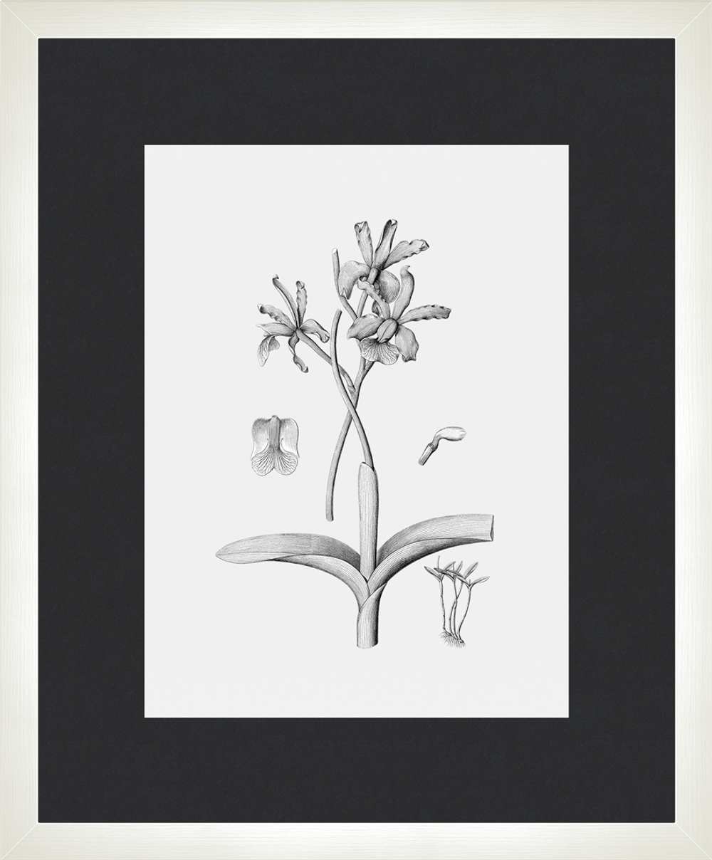 Картина 047 (X)