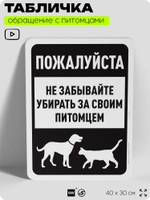 Табличка "Не забывайте убирать за своим питомцем" на дверь и забор, для двора, дома, подъезда, 40х30 см, Silver Plane x Айдентика Технолоджи