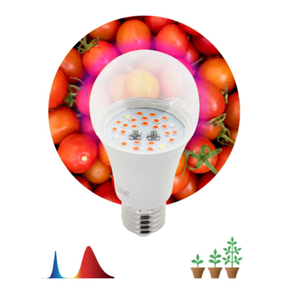 Фитолампа для растений светодиодная ЭРА FITO-10W-RB-E27 красно-синего спектра 10 ВТ Е27 | Фитолампы Е27