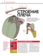 Анатомия. Создание реалистичных людей и животных + мастер-классы по QR-коду