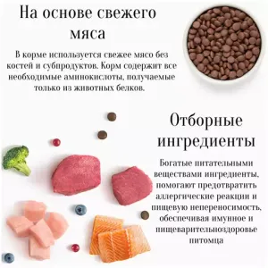 Сухой корм Premier ягненок с индейкой для собак мелких пород