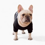 Толстовка «Yo»