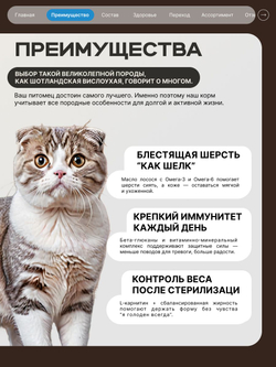 Корм сухой для взрослых стерилизованных кошек породы Шотландская вислоухая, полнорационный комплекс, с лососем, 2 кг, QUATTRO