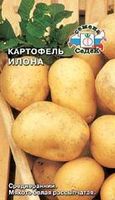 Картофель