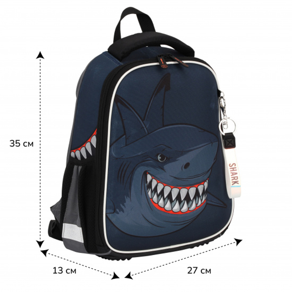 Ранец, спинка эргономичная, 1 отделение, 35*27*13 см, ERGO Light, Shark, КОКОС, 213970