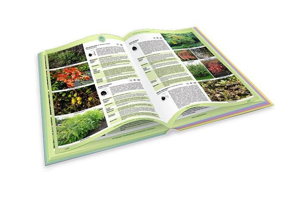 Каталог древесных растений. Деревья, кустарники, лианы
