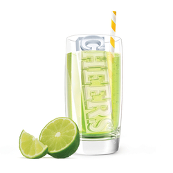 Форма для льда cheers