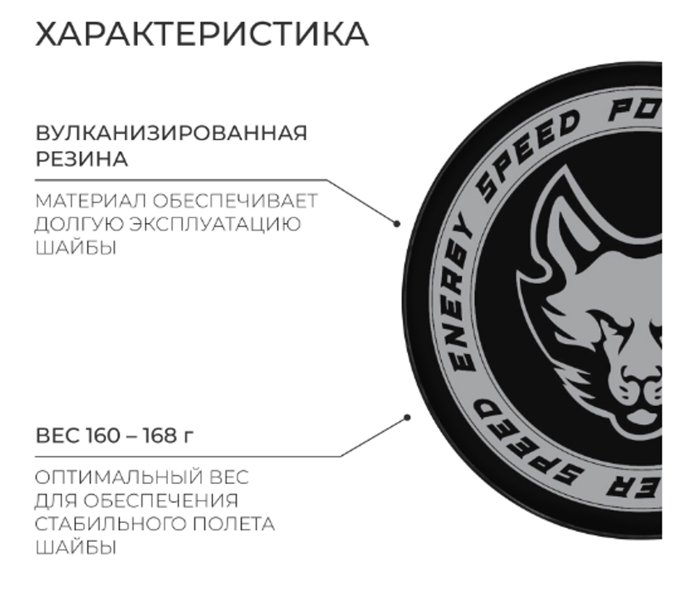 Шайба хоккейная Winter Star, взрослая, d=7,6 см