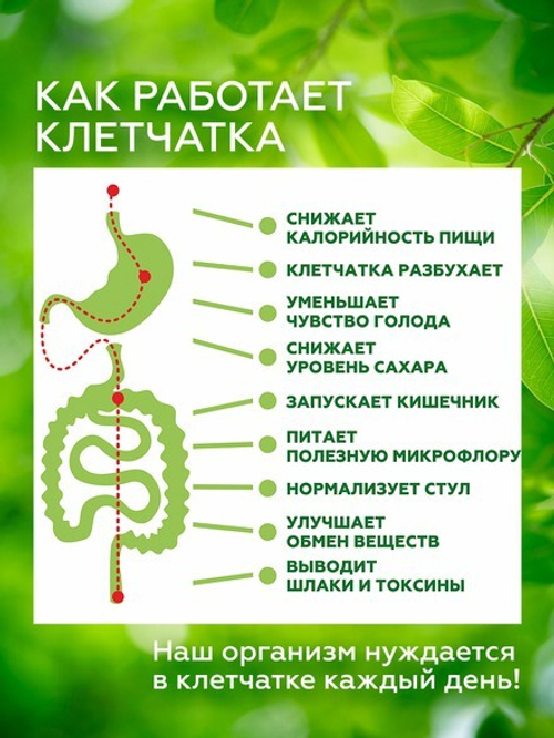 Кедровый орешек, Клетчатка Сибирская, 280 г