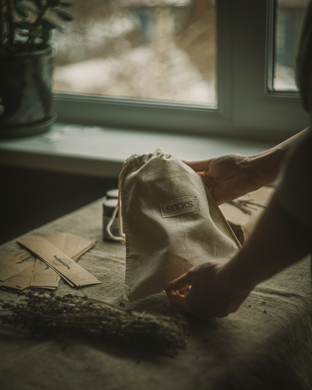 Весенний клуб "Ботаника. Контраст". Градиент