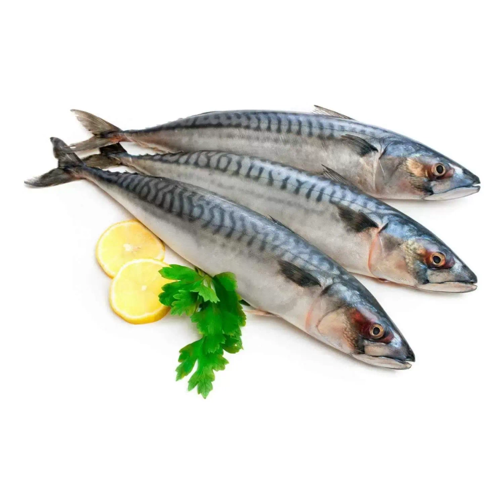 Скумбрия с/м н/р 300-600 "Капитан Демиденко"(Август 2025) 1/30кг