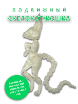 Скелет Кошки