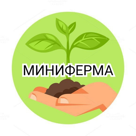 Микрозелень "Миниферма"