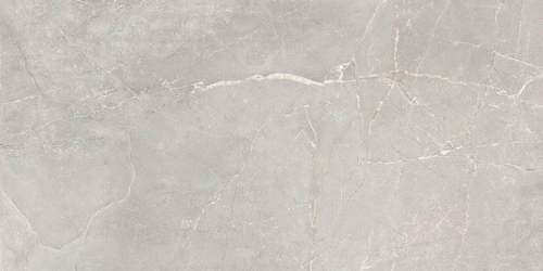 Керамогранит Sogdiana серый 60x120 GT1206012601SSR