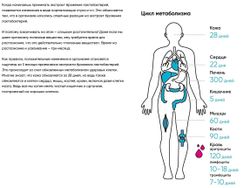 DIAGO Метабиотик Daigo (упаковка: 30 саше по 5 мл)