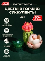 3Д конструктор Цветы в горшке: суккуленты