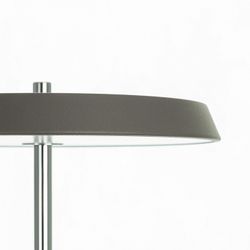 Настольная лампа декоративная Citilux LINA CL812012