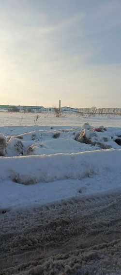 Участок в п.Невский